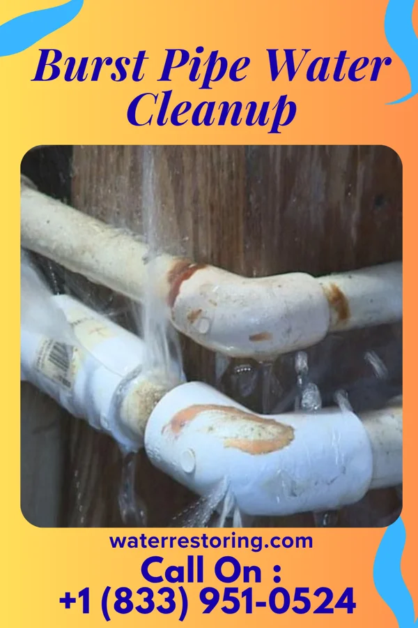 Burst Pipe Water Cleanup in East Cape Girardeau, IL