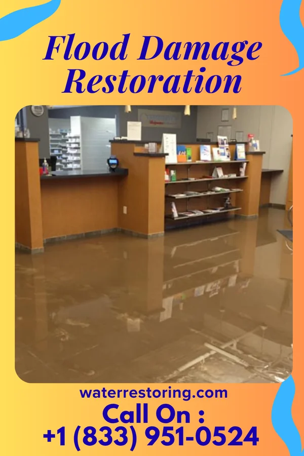 Flood Damage Restoration in East Cape Girardeau, IL